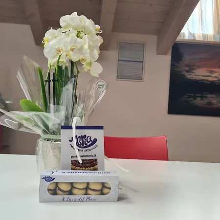 Namaste Apartament Mandello del Lario